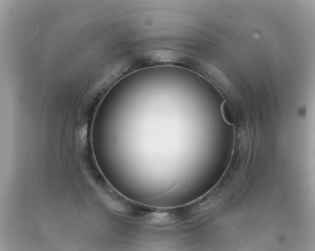 X0000093760406200710231256