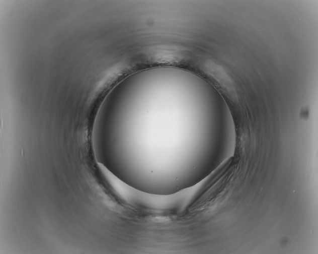 X0000093760407200710231256