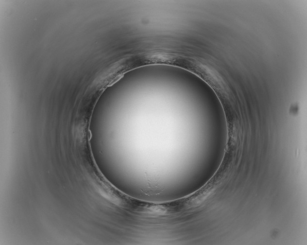 X0000093760409200710231256