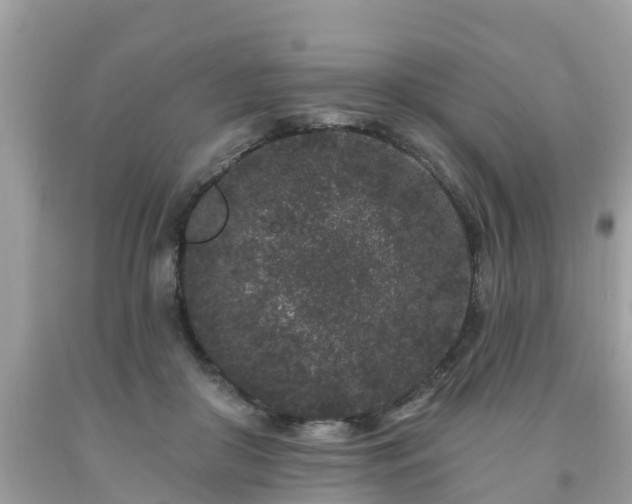 X0000093760410200710231256