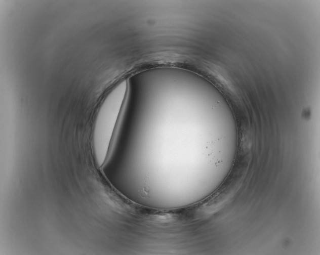 X0000093760411200710231256