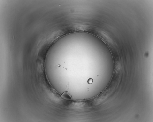 X0000093760414200710231256