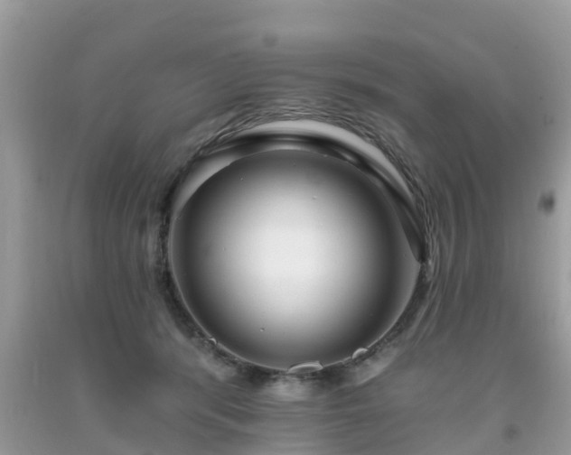 X0000093760416200710231256