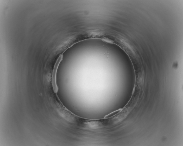 X0000093760417200710231256