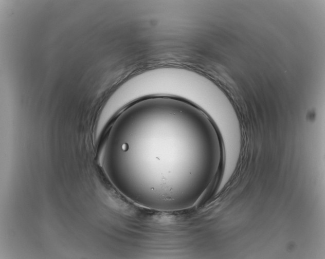 X0000093760419200710231256