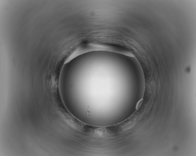 X0000093760420200710231256