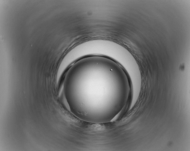 X0000093760421200710231256