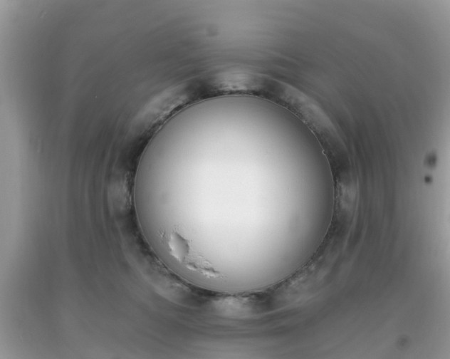 X0000093760422200710231256