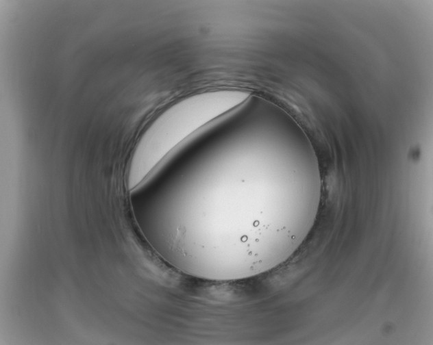 X0000093760423200710231256