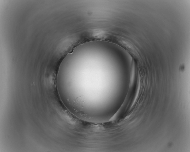 X0000093760424200710231256