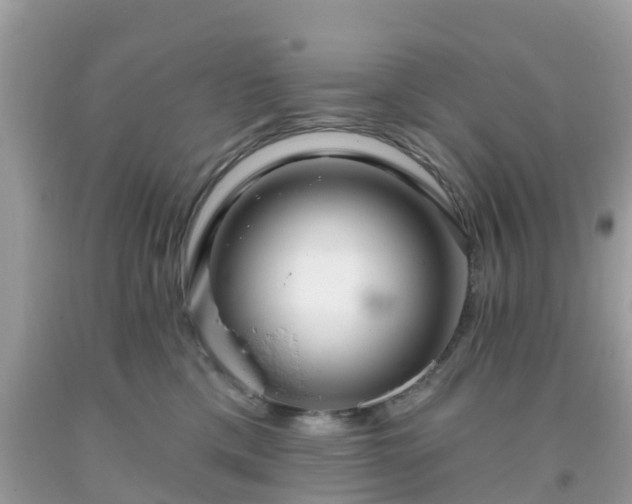 X0000093760425200710231256