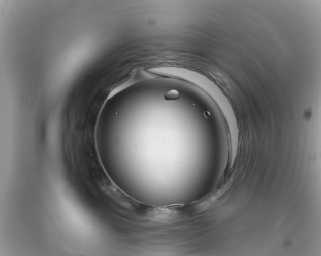 X0000093760429200710231256