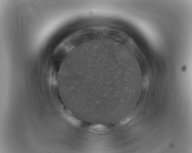 X0000093760431200710231256