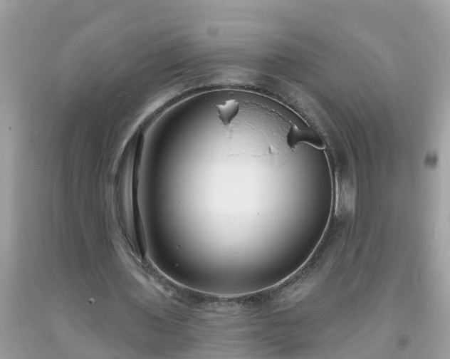 X0000093760435200710231255