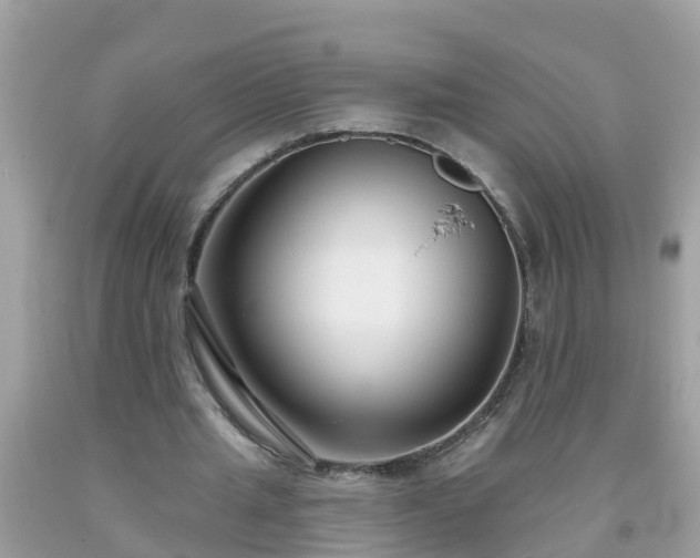 X0000093760437200710231255