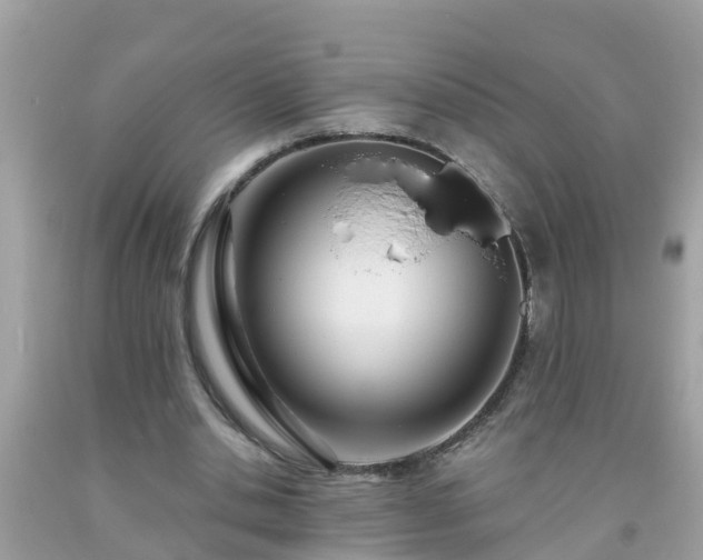 X0000093760438200710231255