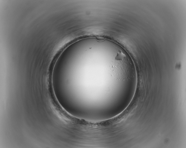 X0000093760439200710231255