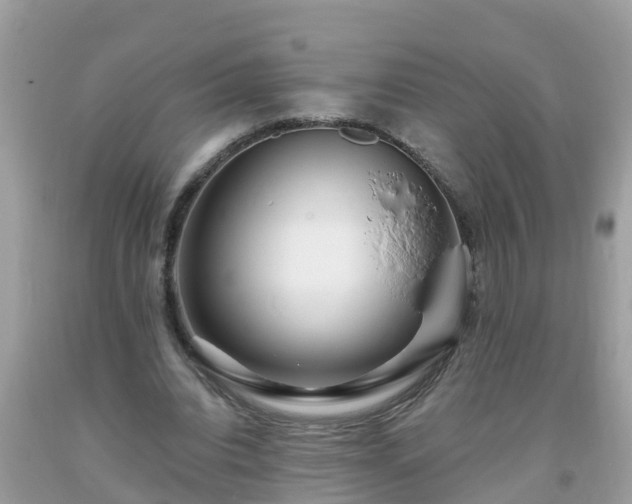 X0000093760440200710231255