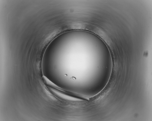 X0000093760441200710231255