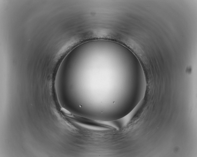 X0000093760442200710231255