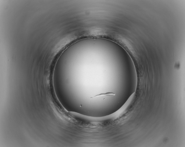 X0000093760443200710231255