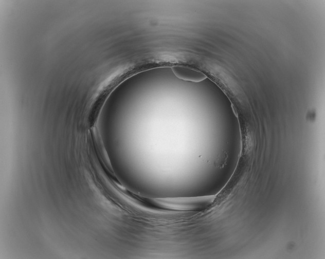 X0000093760444200710231255