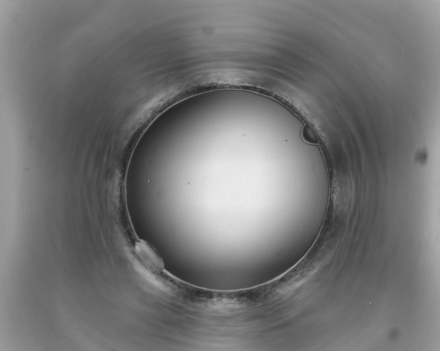 X0000093760445200710231255