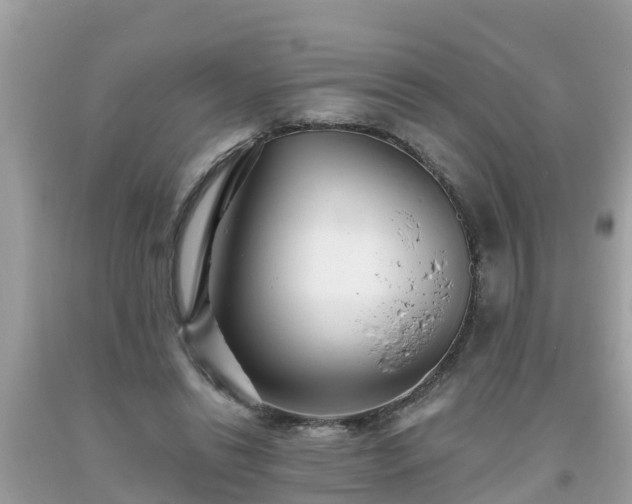 X0000093760446200710231255