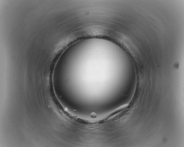 X0000093760447200710231255