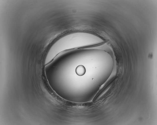 X0000093760448200710231255