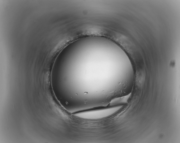 X0000093760449200710231255