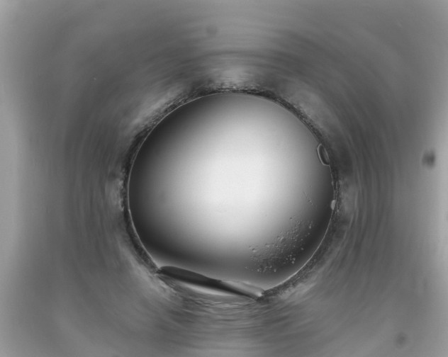 X0000093760450200710231255