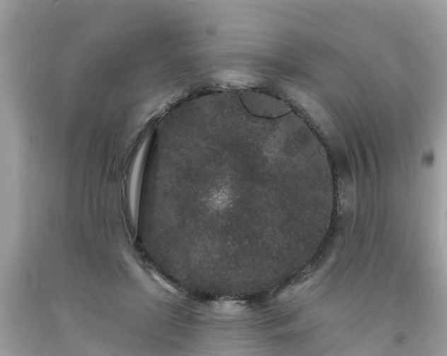 X0000093760451200710231255