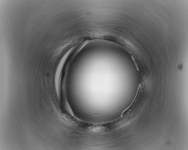 X0000093760452200710231255