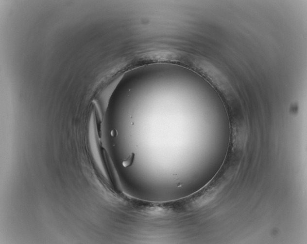 X0000093760453200710231255