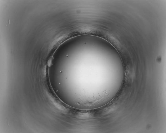 X0000093760454200710231255