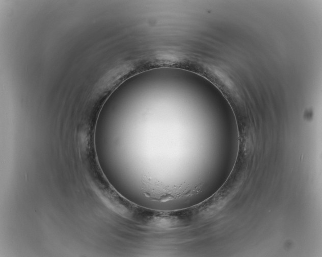 X0000093760455200710231255