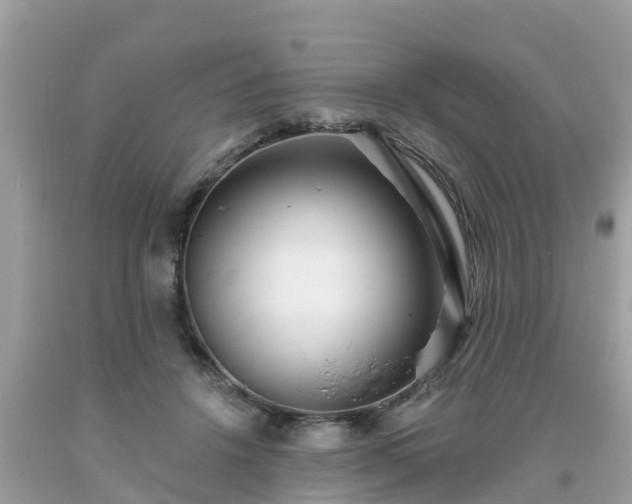 X0000093760456200710231255