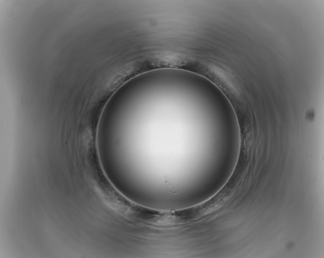 X0000093760459200710231256