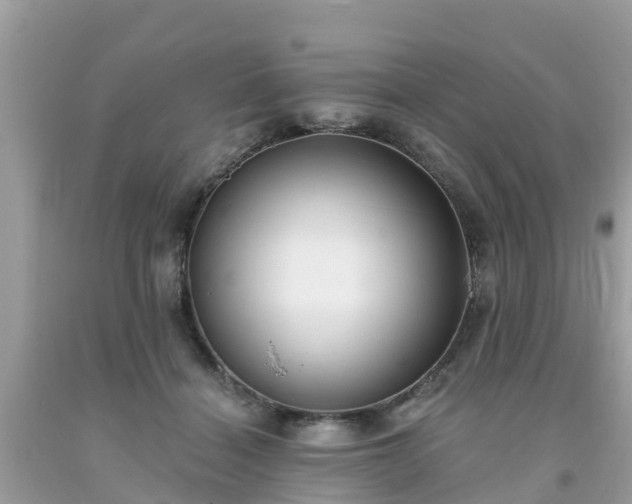 X0000093760460200710231256