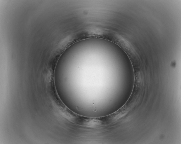 X0000093760463200710231256