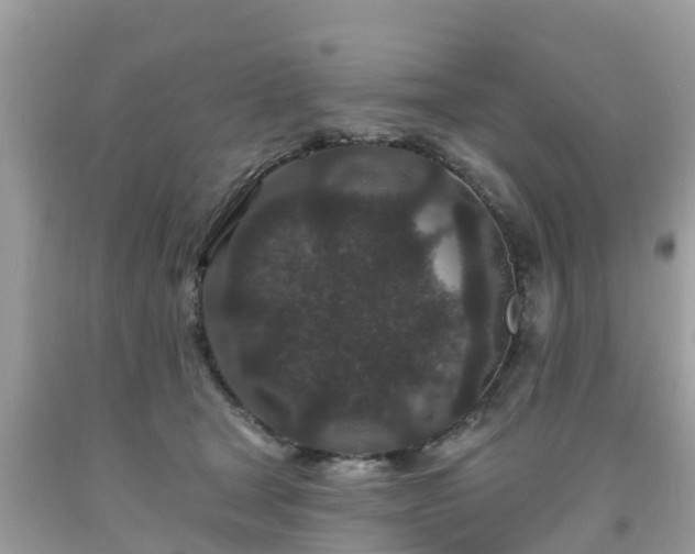 X0000093760465200710231256