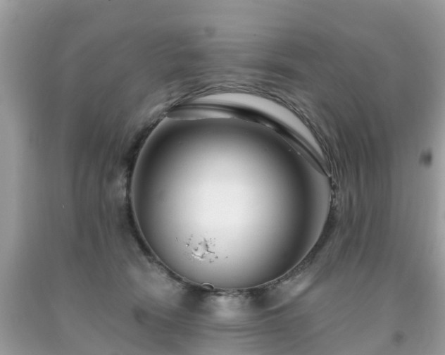 X0000093760466200710231256