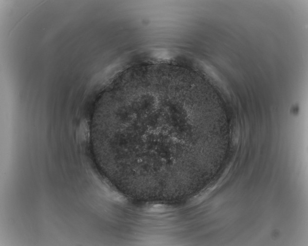 X0000093760467200710231256