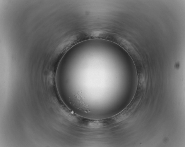 X0000093760470200710231256