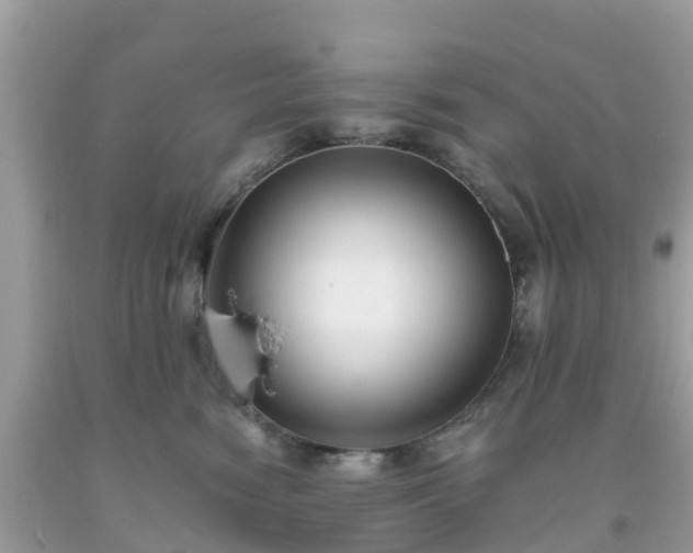 X0000093760474200710231256