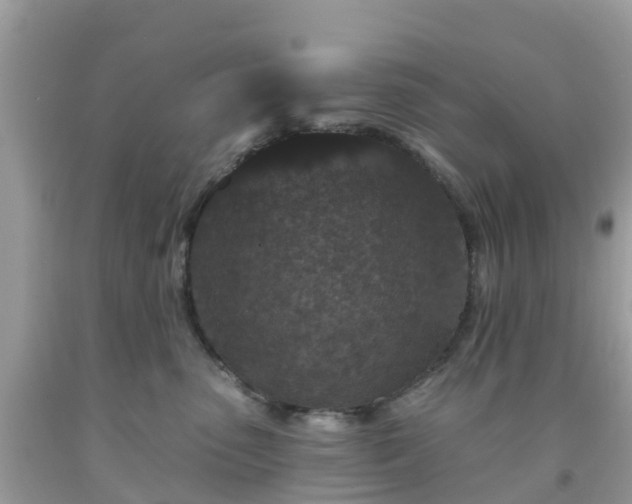 X0000093760475200710231256