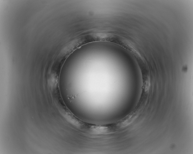 X0000093760476200710231256