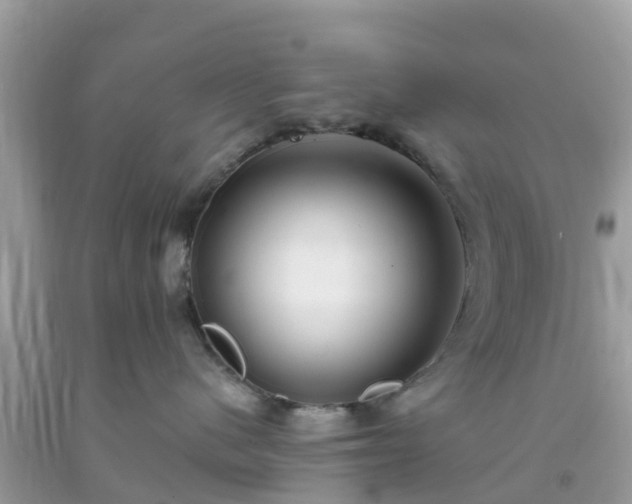 X0000093760480200710231256