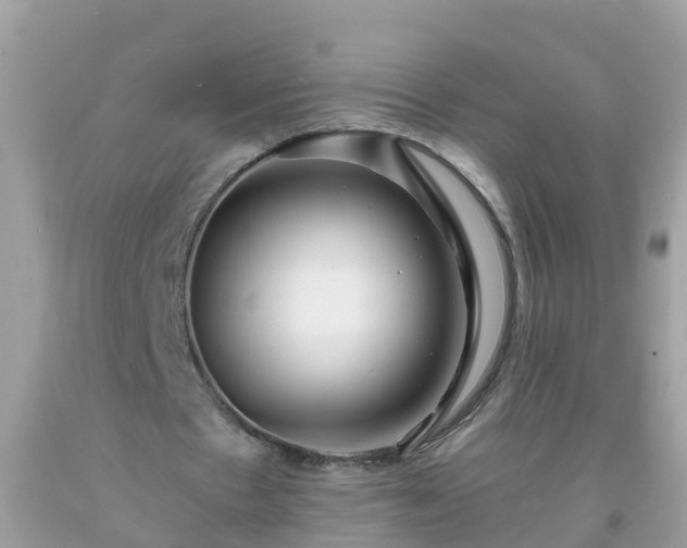 X0000093760481200710231255